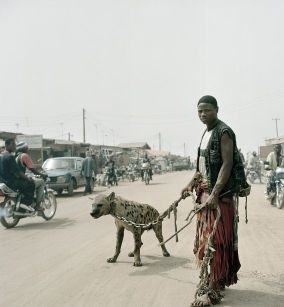 Hyena 3. ©Pieter Hugo 2006. Nous remercion lartiste de sa gracieuse autorisation à reproduire cette photographie.