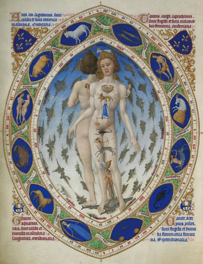 l’Homme anatomique, planche enluminée des Très Riches Heures du Duc de Berry. Musée de Chantilly. D.R.